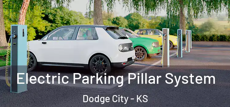 Electric Parking Pillar System Dodge City - KS