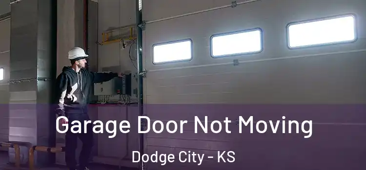  Garage Door Not Moving Dodge City - KS