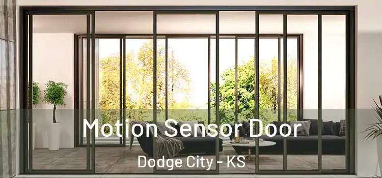 Motion Sensor Door Dodge City - KS